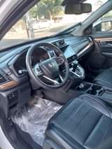 Bright M.