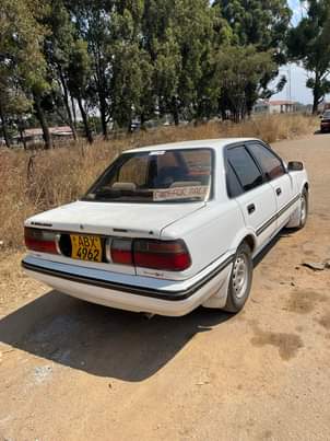 used toyota corolla