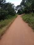A picture of 3 fertile acres for sale all at 22m 12km from