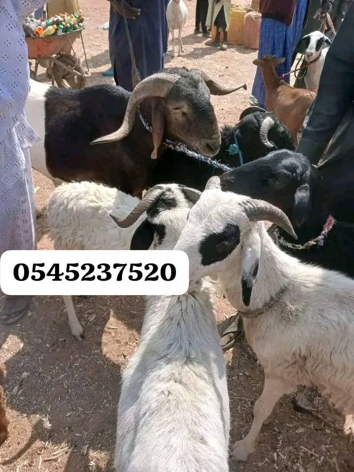 delivery services ghana