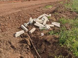 A picture of 50 100ft plots at our kakiri town estate