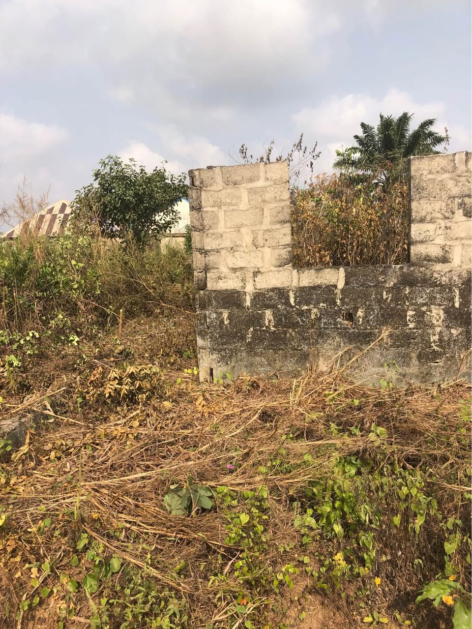 A picture of A full and half Quater plot of Land For Sale