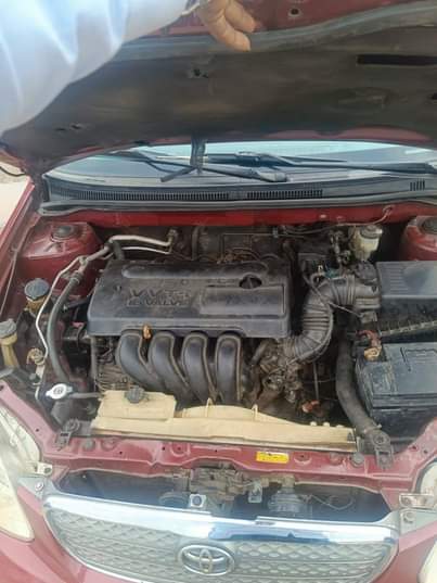 A picture of Awoof Awoof Awoof tok standards engine gear a c first