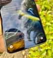 A picture of Oppo Reno 10x zoom