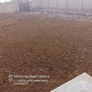 A picture of Landscaping services
