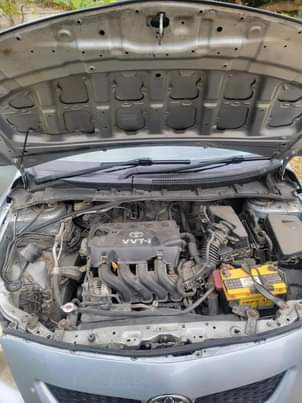 cars