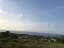 Petagay D.