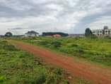 A picture of NKUMBA LAKE VIEW ESTATE PLOTS FOR SALE Titled plots of