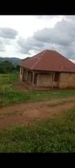 A picture of House for sale located in Buloba 3bedrooms 2 bathrooms sitting