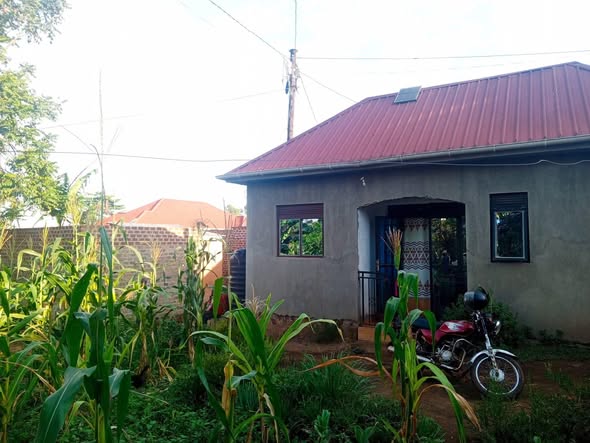 A picture of House on quick sale 19m Negotiable Located matugga town Having