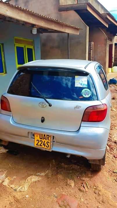 A picture of Vitz
