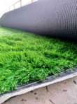 A picture of Grass Carpet 0757408702 0771452433