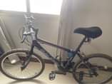A picture of RALEIGH bicycles
