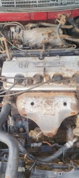 A picture of Honda accord 2001