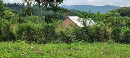 A picture of 0l709106274 0774591471l NAMAYUMBA KING MIClHOAL ESTATE 50X100FT 6MILLION