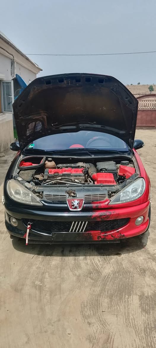 A picture of FULLY PIMPED PEUGEOT 206 WITH 307 ENGINE LOUD EXHAUST MANUAL