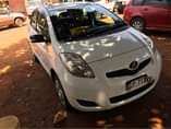 A picture of Vitz
