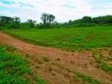 A picture of 50BY100 AT 3 5M GOBERO SEGAGGA ESTATE JUST AFTER KAKIRI