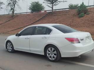 A picture of 2008 Honda Accord