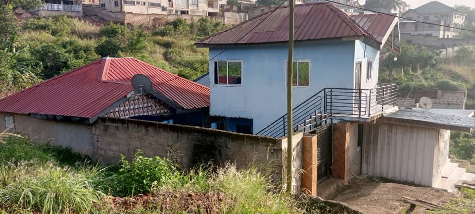 houses for sale