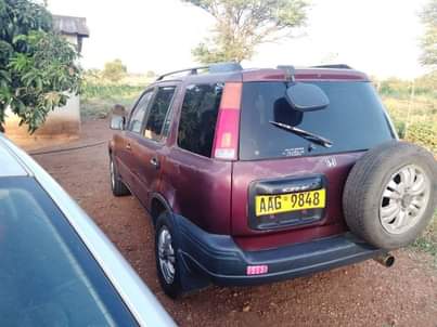 cars bulawayo