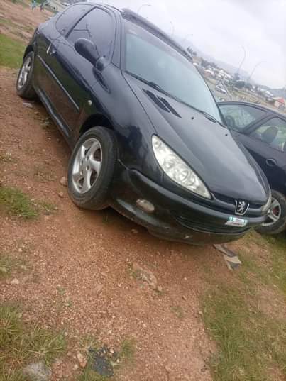A picture of Peuoget 206