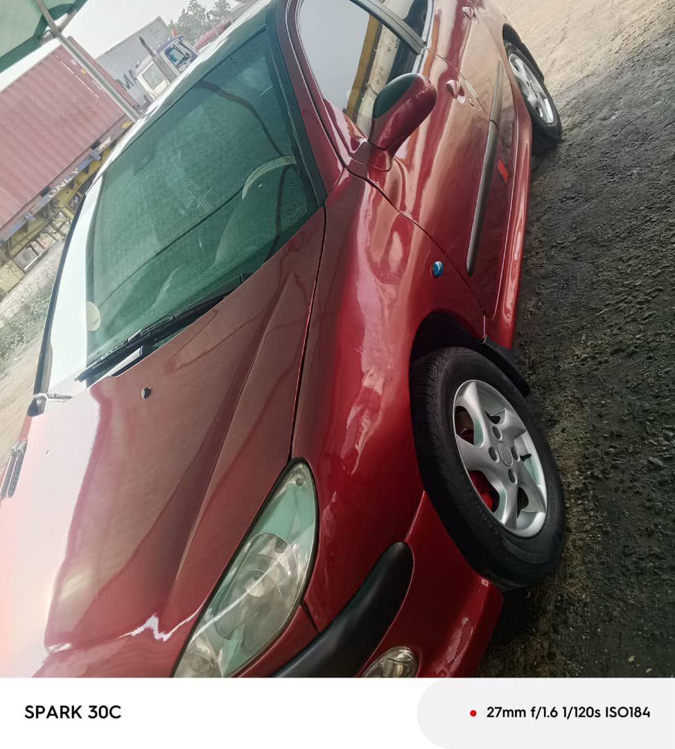 A picture of Peugeot 206 beljium grade