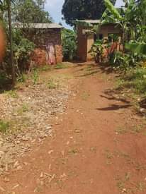 A picture of SINGLE ROOM PLOTS FOR SALE..