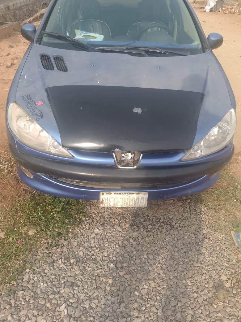 A picture of Super sharp distress Peugeot 206 with untempered engine and manual