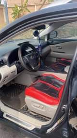 A picture of RX350 010