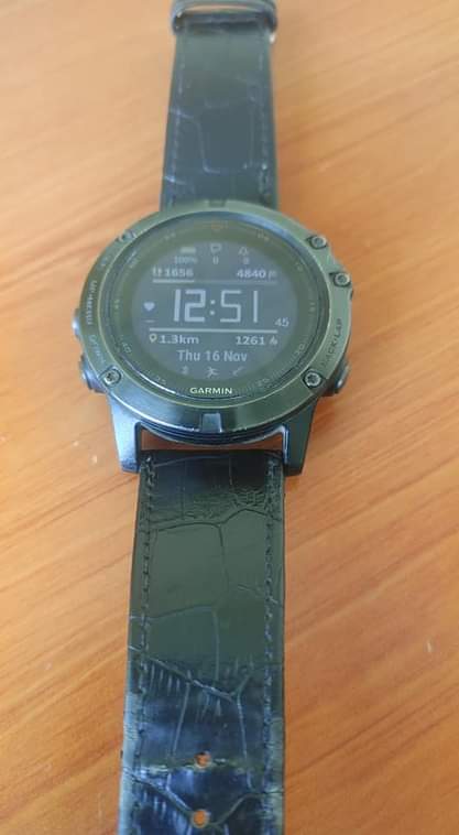 garmin
