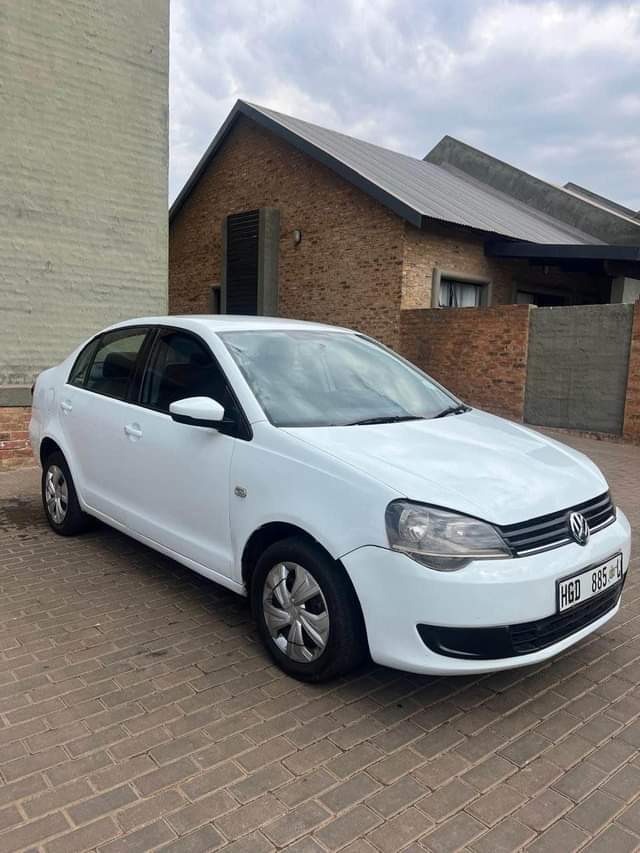 polo vivo