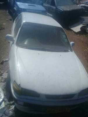 used toyota corolla