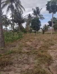 A picture of 