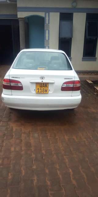 Cars F.