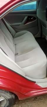 A picture of 2010 muscle spider