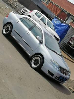 Toyota Q.