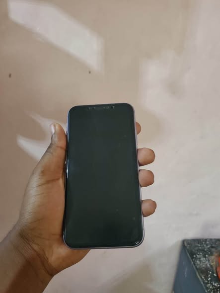 A picture of Iphone 11 plain