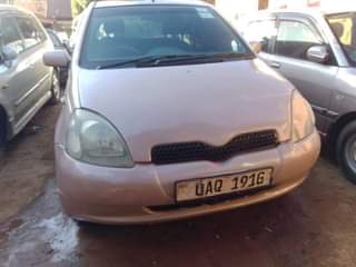 A picture of Vitz