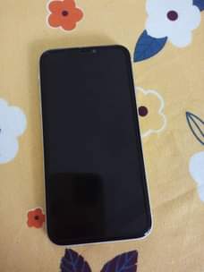 A picture of Iphone 11 pln