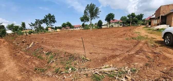 A picture of Bukalango wakiso Estate 50by100ft with ready land title At 30m.