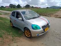 A picture of Vitz