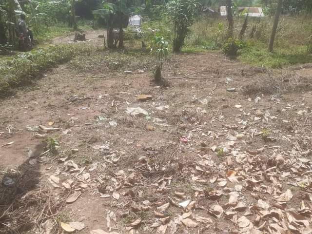 A picture of Land