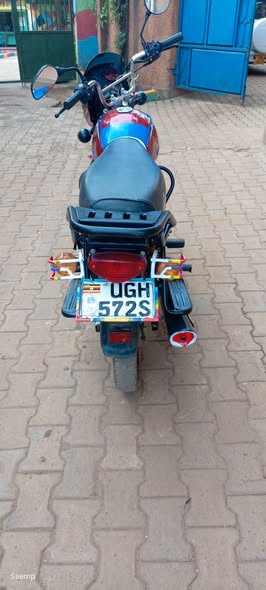 motorbikes