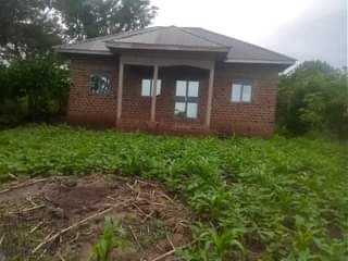 Kiggundu J.
