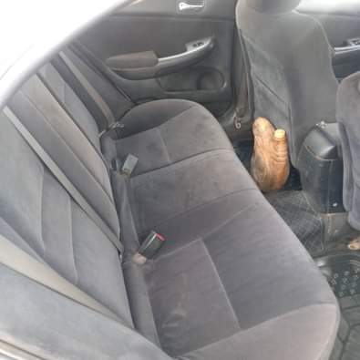 A picture of Owner needs urgent money Honda EOD Engine and Gear good