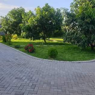 A picture of Garden na paving