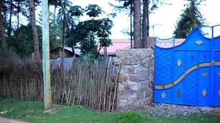 houses runda