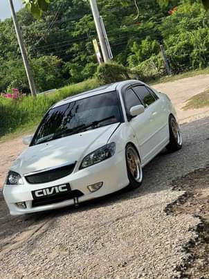 Wild R.