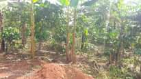 A picture of Quick plot for sale in Matugga Kavule town very near